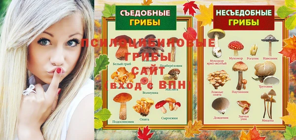 прущие грибы Балабаново