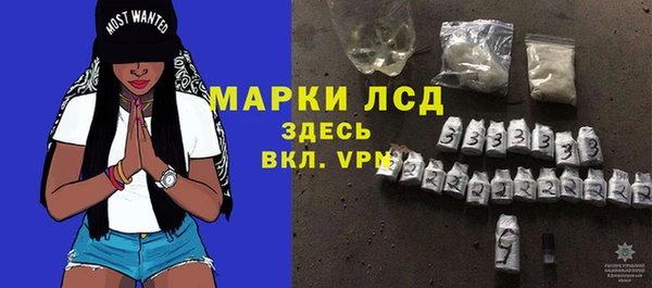 прущие грибы Балабаново